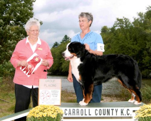 Carroll County Kennel Club - GROUP 2!
AM/CAN CH Tennescott White Mtns The Balsams AM/CAN CD, RN, CKC DD, CGC, TDI, BMDCC Versatility Dog 
