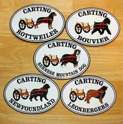 Carting Dog Car Magnets
BMD, Newf, Leo, Rottie & Bouvier
5 inches X 7 inches.
