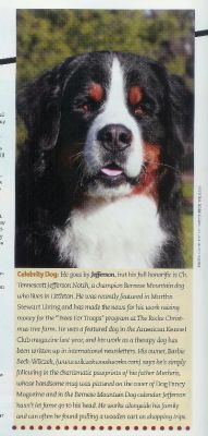 Best of NH 2008 Celebrity Dog
NH Magazine - July 2008 - Page 94
Jefferson was picked as the Best of NH Celebrity Dog. This photograph by Mary Bloom appeared in the July 2008 issue of New Hampshire Magazine 
