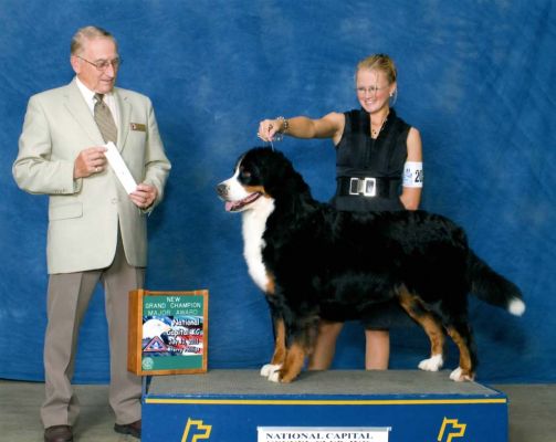 Ripley with Courtney Norris - Best of Breed
New AKC Grand Champion!
