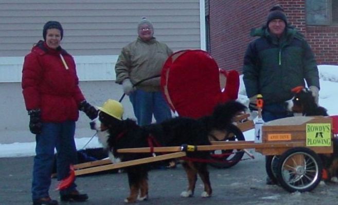 Meg and Bob Schwartz with Rowdy and his Snowplow
