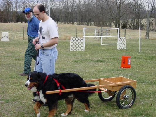 Barry Huey and Timber with Basic Red Oak Small Competition Cart getting help from Jerry Pixton
