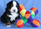 Filename=Ripley22days~0.JPG
Filesize=109KB
Dimensions=1086x789
Date added=Oct 22, 2007 Ripley22days~0.JPG