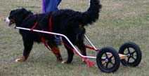 Training Wheels