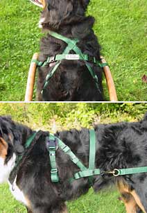 Wilczek Nylon Siwash Dog Harness