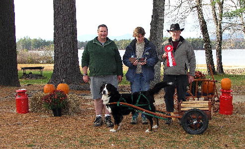 Bill and Kessie Draft Dog Award
Camp Marist, Ossippee, NH - October 22, 2006
