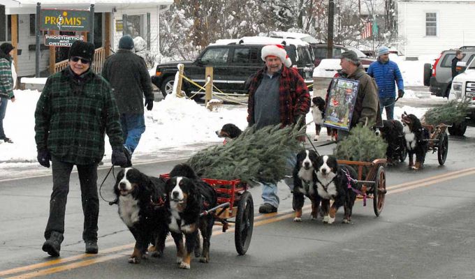 Littleton Christmas Parade 2104
Buffy with Mac and Moriah, Bill with Ripley and Balsam, Cory, Bentley and Molly.  In the back is Steve Kramer and Saco Bear who joined us during the parade.
Photo by Lloyd Jones.
