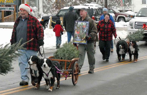 Littleton Christmas Parade 2104
Bill with Ripley and Balsam, Cory, Lynn with Bentley and Molly.
Photo by Lloyd Jones.
