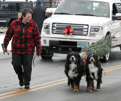 Littleton Christmas Parade 2104
Lynn with Bentley and Molly.
Photo by Lloyd Jones.
